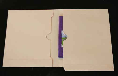 File, Folder, Chart, Pocket Folder, Manila Folder, Filing System